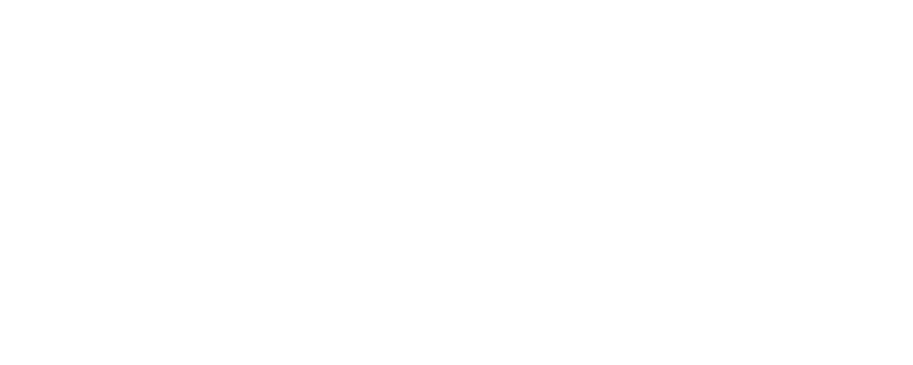 TESSCIN